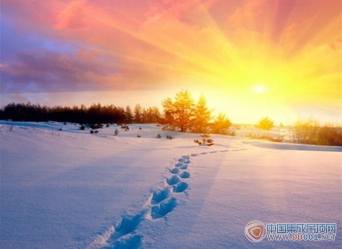 【加盟匯總】除了大雪還有陽光，11月加盟意向比去年同期增長162%