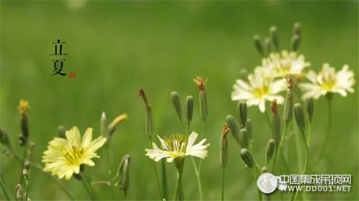 選擇這五款吊頂，寶蘭幫你打造清涼夏日衛(wèi)浴空間