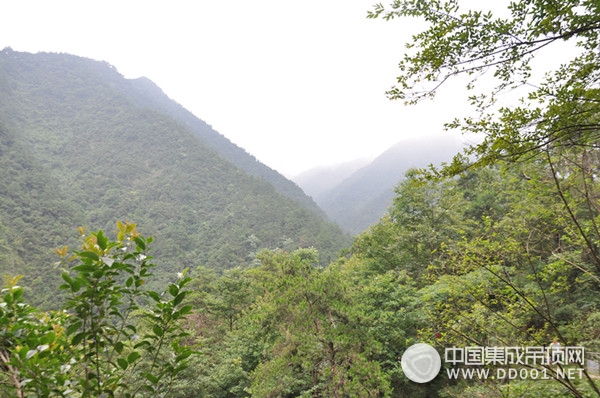 和今頂來一場說走就走的旅行，就在這個(gè)夏天