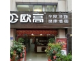 歐高全屋頂飾 健康墻面福建將樂(lè)專賣(mài)店