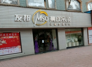 友邦集成吊頂江西南昌進(jìn)賢縣專賣店