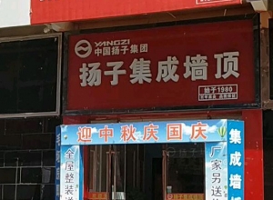 揚(yáng)子集成吊頂江蘇鹽城專(zhuān)賣(mài)店