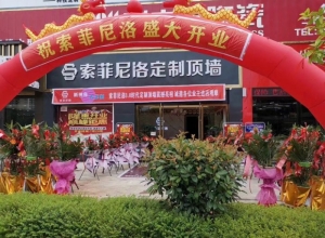 索菲尼洛復(fù)式吊頂江西會昌縣專賣店 (554播放)