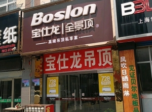 寶仕龍全景頂山東聊城專賣店