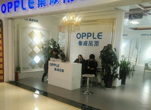 OPPLE集成吊頂天津紅橋區(qū)專賣(mài)店 (287播放)