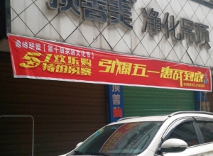 頂善美凈化吊頂湖南東安專賣店