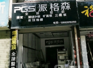 派格森全屋吊陜西漢中專賣店