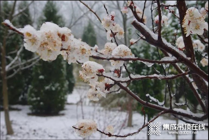 品格•智美Max，讓你告別浴室潮濕、異味等難題，享受沐浴時(shí)刻再也不怕冷~