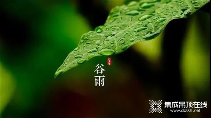 把廚房交給品格吧，給你清爽舒適的廚房好環(huán)境