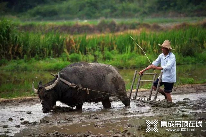 賽華那些完美的餐廳設(shè)計(jì)，拒絕舌尖上的浪費(fèi)