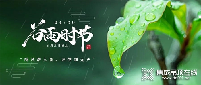 谷雨| 潤雨迎新葉，海創(chuàng)渡春光！