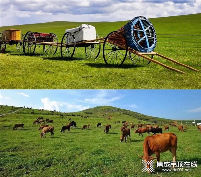 蒙古旅游，值得你來 | 品格送我去旅游啦！