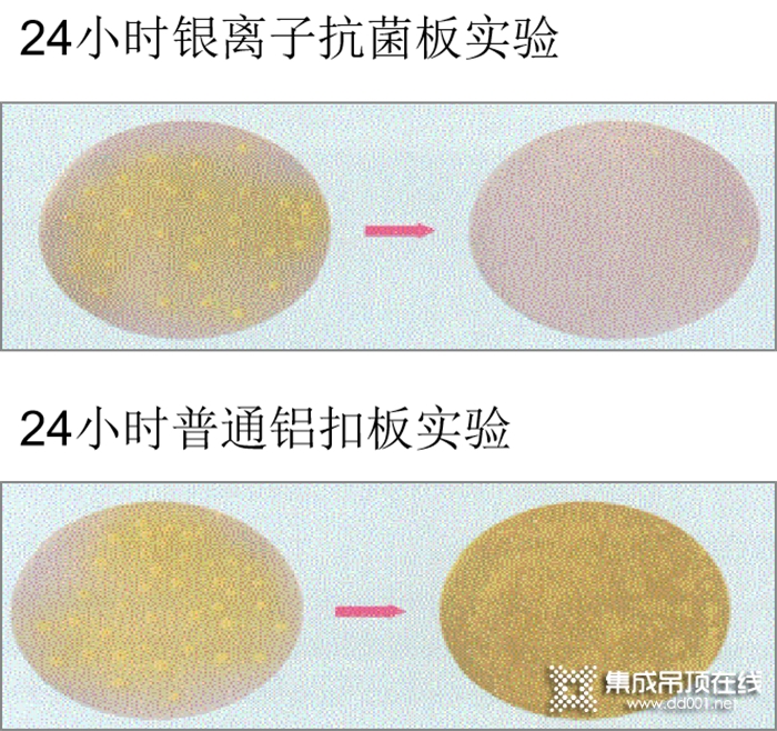 歐陸美居頂墻產(chǎn)品入駐莆田市老年文體教育中心