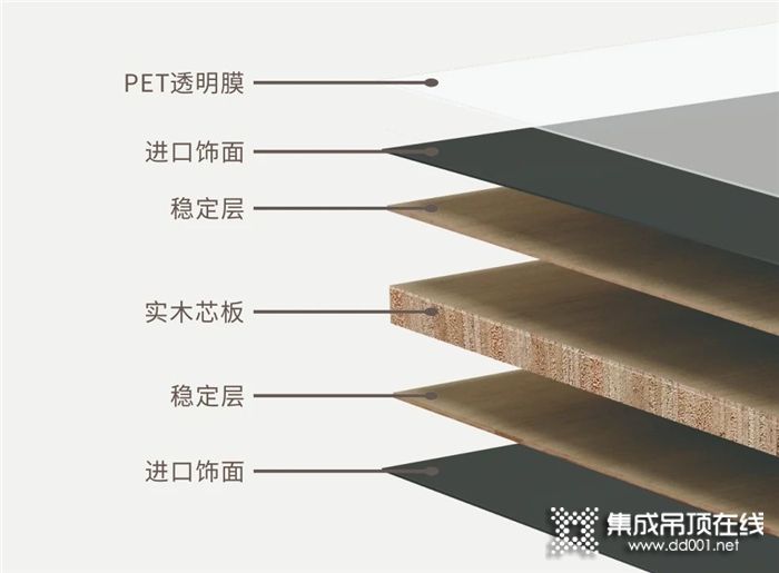 兔寶寶告訴你如何在裝修中省錢避坑？